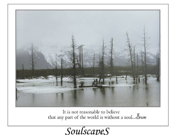 Soulscape2009.jpg